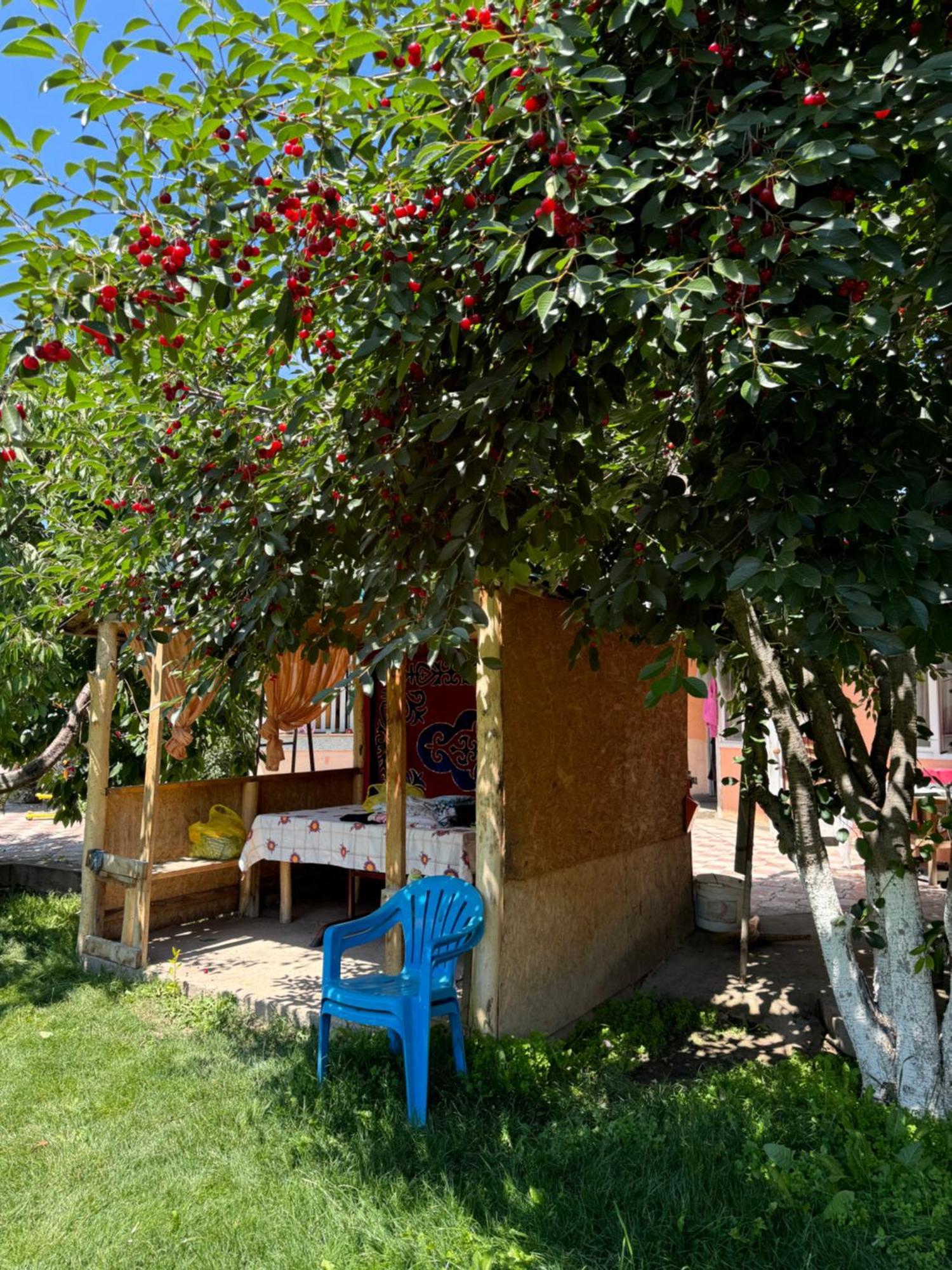 Ak-Keme Hotel Tossor Buitenkant foto